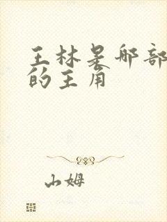 王林是哪部小说的主角