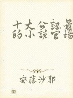 十大公认最好看的小说官场封面