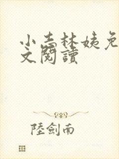 小志林姨免费全文阅读封面