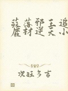 苏落邪王追妻:废材逆天小姐字数