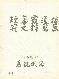 短篇霸道总裁甜宠文推荐巨甜封面