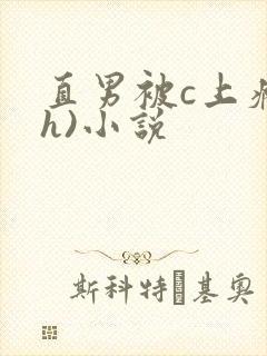 直男被c上瘾(h)小说