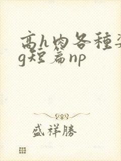 高h肉各种姿势g短篇np封面
