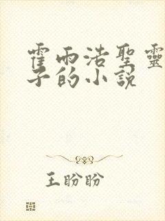 霍雨浩圣灵教圣子的小说