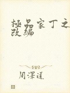 极品家丁之绿帽改编