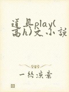 道具play(高h)文小说封面