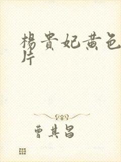 杨贵妃黄色一级片封面