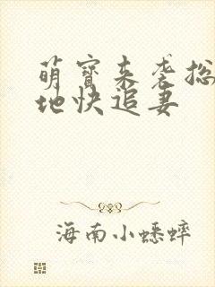 萌宝来袭总裁爹地快追妻