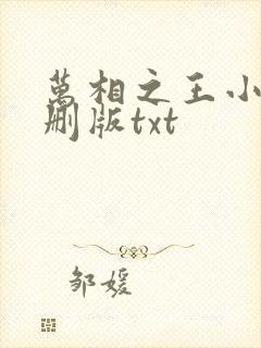 万相之王小说未删版txt