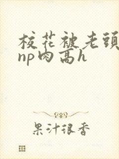 校花被老头强迫np肉高h