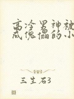 高冷男神被催眠成傀儡的小说