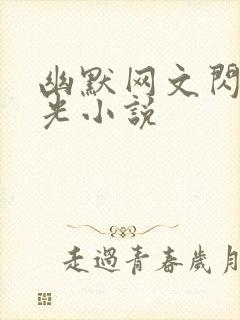 幽默网文闪闪发光小说