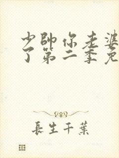 少帅你老婆又跑了第二季免费观看