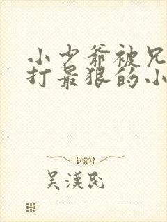 小少爷被兄长罚打最狠的小说