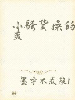 小骚货操的爽不爽