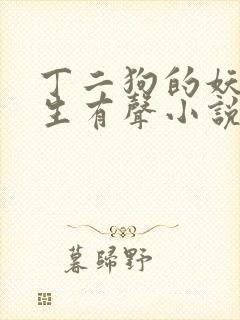 丁二狗的妖孽人生有声小说