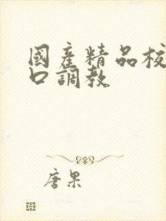 国产精品校花重口调教