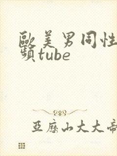欧美男同性恋视频tube