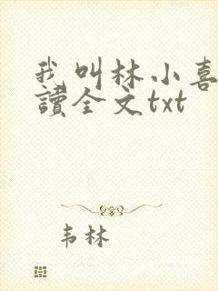 我叫林小喜全阅读全文txt