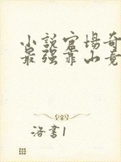 小说官场奇才:最强靠山竟是我自己李霖在封面