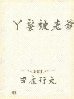 丫鬟被老爷封面