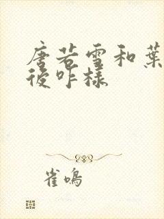 唐若雪和叶凡最后咋样