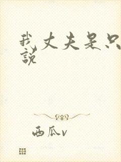 我丈夫是只狗小说