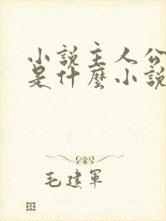 小说主人公陈枫是什么小说封面