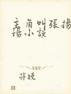 主角叫张扬的官场小说