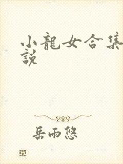 小龙女合集 小说