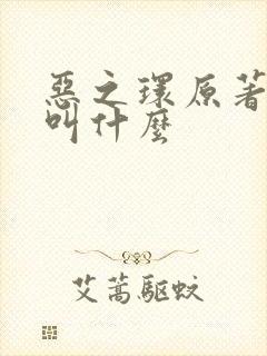 恶之环原著小说叫什么