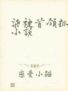 柒被首领抓走的小说