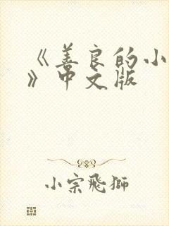 《善良的小[子》中文版