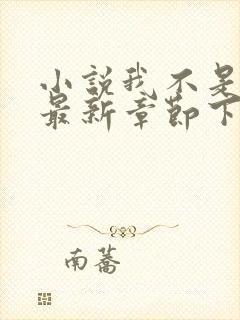 小说我不是戏神最新章节下载封面