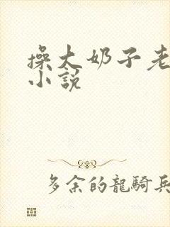 操大奶子老师的小说封面