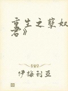 重生之孽奴虐暴君》