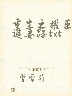 重生之权臣漫漫追妻路txt
