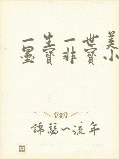 一生一世美人骨墨宝非宝小说在线