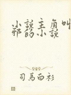 小说主角叫柳无邪的小说