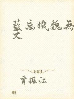 蓝忘机魏无羡车文