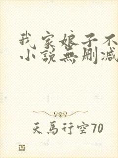 我家娘子不对劲小说无删减封面