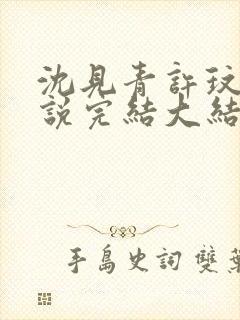 沈见青许玟玟小说完结大结局了吗