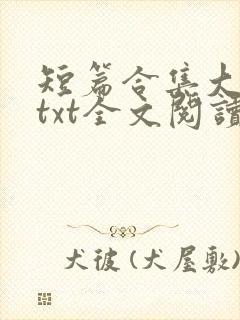 短篇合集大杂烩txt全文阅读