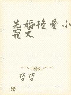 先婚后爱小说甜宠文