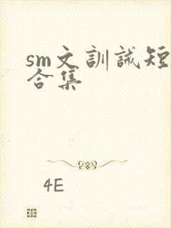 sm文训诫短篇合集