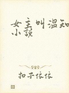 女主叫温知夏的小说封面