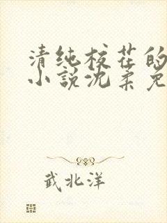 清纯校花的日常小说沈柔免费阅读封面