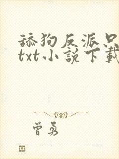 舔狗反派只想苟txt小说下载