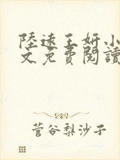 陆远王妍小说全文免费阅读