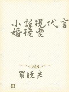 小说现代言情先婚后爱